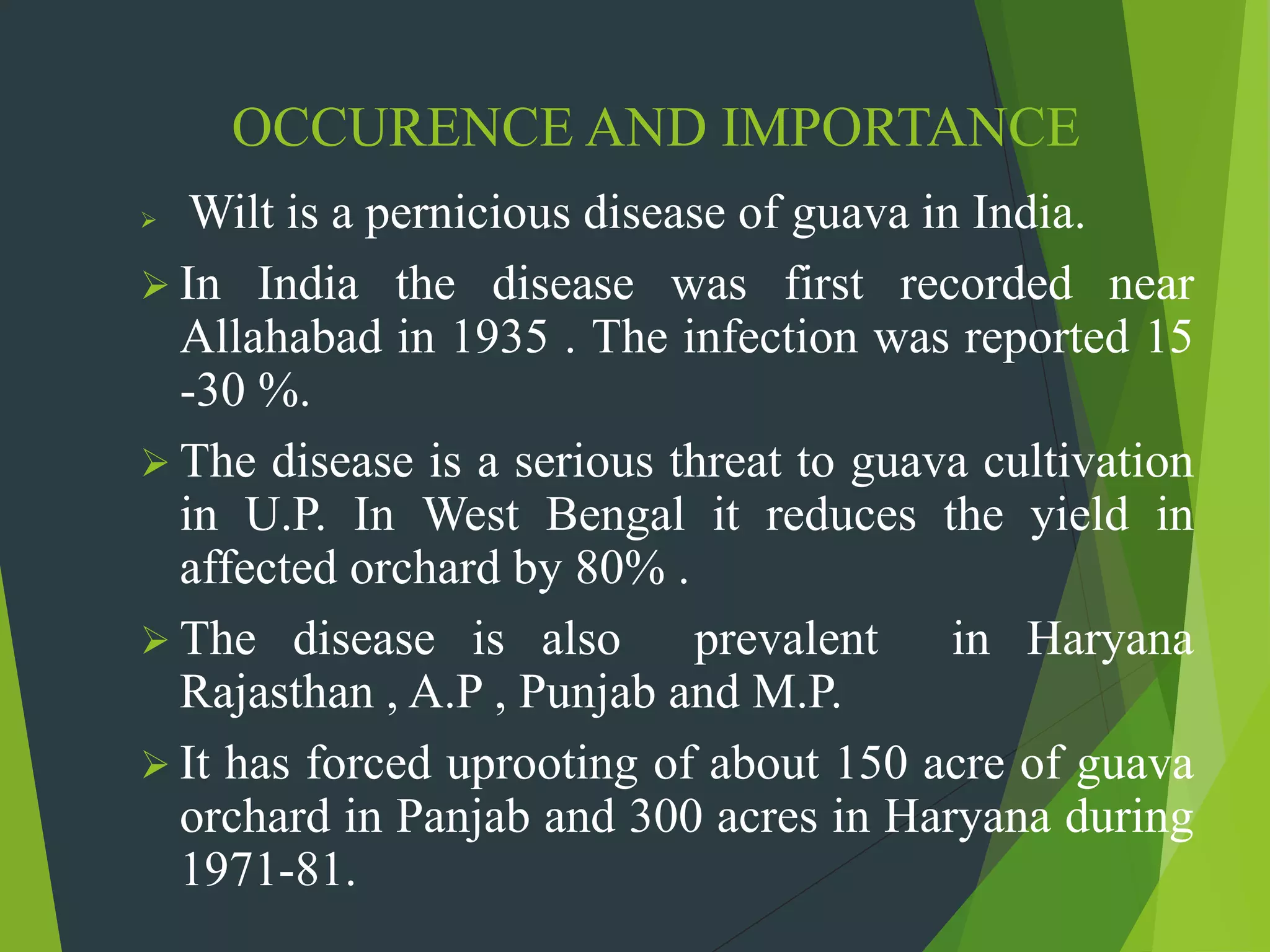 OCCURENCE AND IMPORTANCE
 Wilt is a pernicious disease of guava in India.
 In India the disease was first recorded near
Allahabad in 1935 . The infection was reported 15
-30 %.
 The disease is a serious threat to guava cultivation
in U.P. In West Bengal it reduces the yield in
affected orchard by 80% .
 The disease is also prevalent in Haryana
Rajasthan , A.P , Punjab and M.P.
 It has forced uprooting of about 150 acre of guava
orchard in Panjab and 300 acres in Haryana during
1971-81.
 