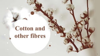 Cotton and
other fibres
1
 