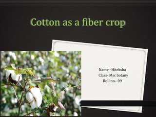 Cotton as a fiber crop
Name –Hiteksha
Class- Msc botany
Roll no.- 09
 