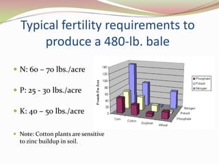 Cotton yield is figured in bales. 1 bale is 480-lb net weight.