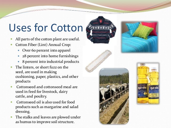 Cotton Crop Presentation