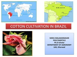 COTTON CULTIVATION IN BRAZIL
SIDDU MALAKANNAVAR
PGS17AGR7312
Ph.D Scholar
DEPARTMENT OF AGRONOMY
UAS, Dharwad
 