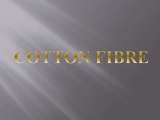 Presebtation - Cotton fibre