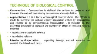 Insects pests of Cotton | PPTX