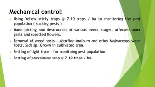 Insects pests of Cotton | PPTX