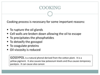 COOKING
Cooking process is necessary for some important reasons:
 To rupture the oil glands
 Cell walls are broken down allowing the oil to escape
 To precipitates the phosphatides
 To detoxify the gossypol
 To coagulate proteins
 Oil viscosity is reduced
GOSSYPOL is a natural phenol derived from the cotton plant. It is a
yellow pigment. It also causes low potassium levels and thus causes temporary
paralysis . It can cause also cancer.
 