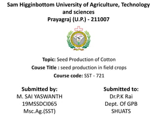 Topic: Seed Production of Cotton
Couse Title : seed production in field crops
Course code: SST - 721
Submitted by:
M. SAI YASWANTH
19MSSDCI065
Msc.Ag.(SST)
Submitted to:
Dr.P.K Rai
Dept. Of GPB
SHUATS
Sam Higginbottom University of Agriculture, Technology
and sciences
Prayagraj (U.P.) - 211007
 