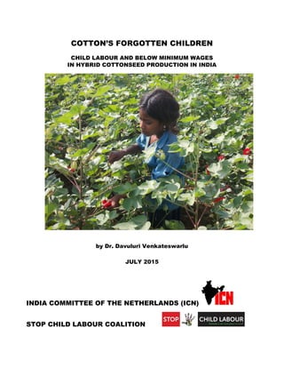 COTTON’S FORGOTTEN CHILDREN
CHILD LABOUR AND BELOW MINIMUM WAGES
IN HYBRID COTTONSEED PRODUCTION IN INDIA
by Dr. Davuluri Venkateswarlu
JULY 2015
INDIA COMMITTEE OF THE NETHERLANDS (ICN)
STOP CHILD LABOUR COALITION
 