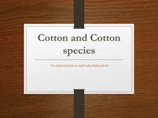 Cotton and Cotton
species
An introduction and identification
 