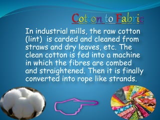 In industrial mills, the raw cotton
(lint) is carded and cleaned from
straws and dry leaves, etc. The
clean cotton is fed into a machine
in which the fibres are combed
and straightened. Then it is finally
converted into rope like strands.
 