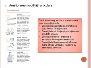 2. Ameliorarea mobilității articulare
După stretching, se trece la efectuarea
unor exerciții simple:
• Exerciții de supinație și pronație cu
cotul flectat fără greutate.
• Exerciții de supinație și pronație cu o
greutate ușoară.
• Exerciții de flexie - extensie a
încheieturii cu o greutate ușoară.
• Exerciții de flexie a cotului până ce
mâna atinge umărul și revenire cu
extinderea acestuia.
 