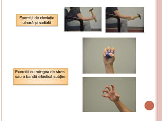Exerciții de deviație
ulnară și radială
Exerciții cu mingea de stres
sau o bandă elastică subțire
 
