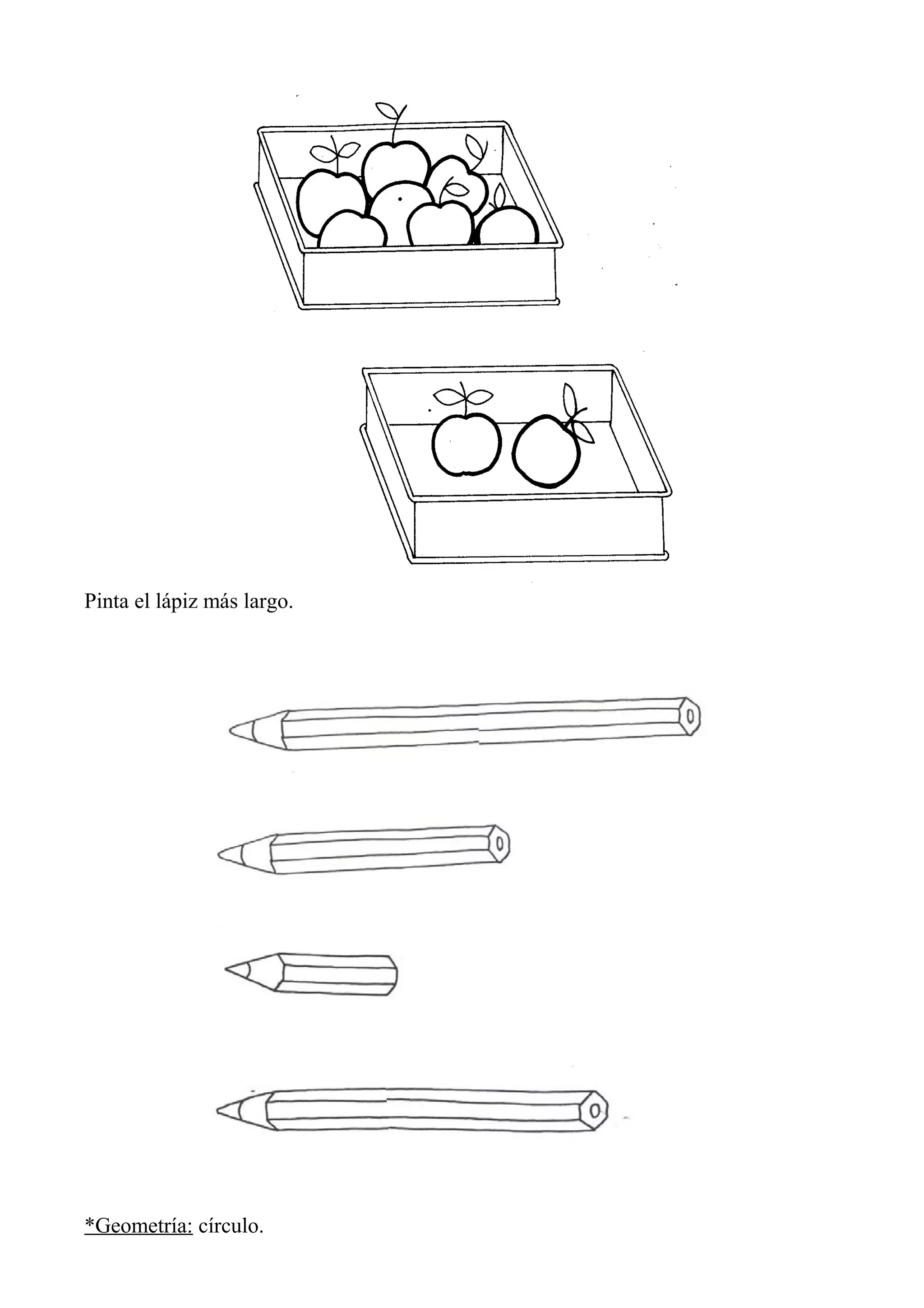 Pinta el lápiz más largo.
*Geometría: círculo.