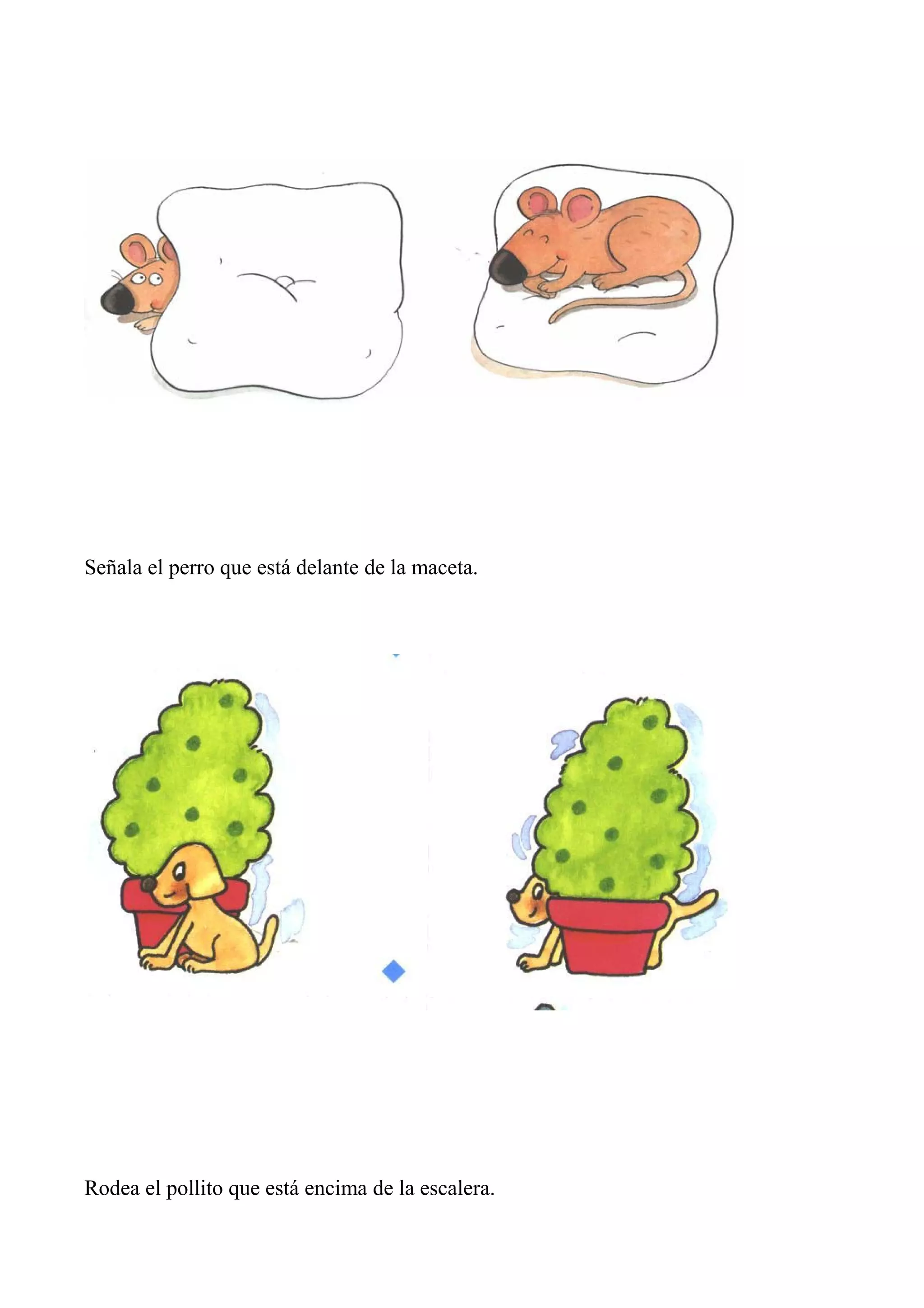 Señala el perro que está delante de la maceta.
Rodea el pollito que está encima de la escalera.