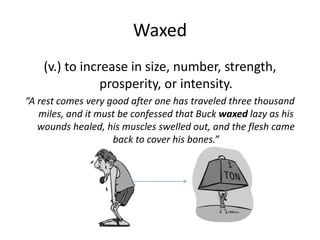 Waxed
(v.) to increase in size, number, strength,
prosperity, or intensity.
“A rest comes very good after one has traveled three thousand
miles, and it must be confessed that Buck waxed lazy as his
wounds healed, his muscles swelled out, and the flesh came
back to cover his bones.”
 