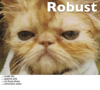 Robust



-   single ﬁle
-   append only
-   no ﬁxup phase
-   minimizes seeks
 