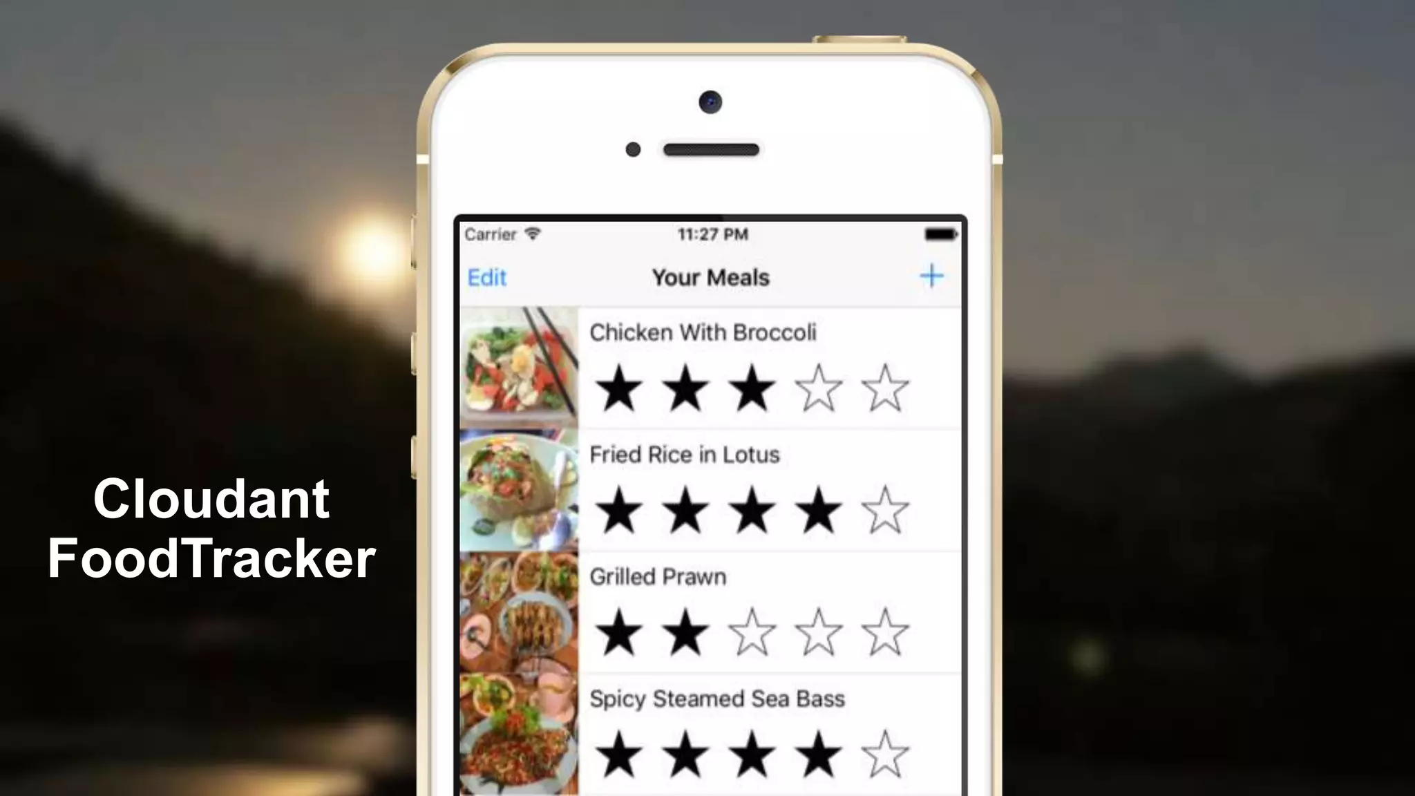 Cloudant
FoodTracker
 