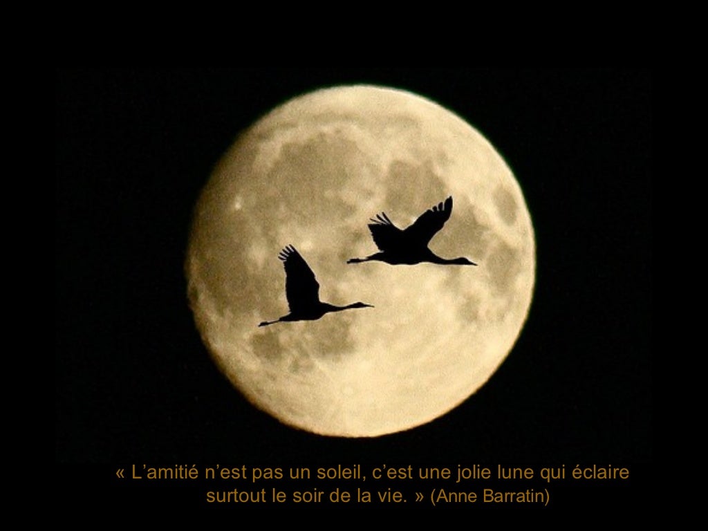 Coucher de lune