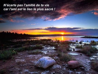 N’écarte pas l’amitié de ta vie  car l'ami est le lien le plus sacré ! 