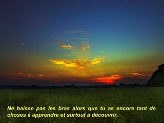 Ne baisse pas les bras alors que tu as encore tant de choses à apprendre et surtout à découvrir. 