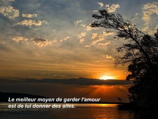 Le meilleur moyen de garder l'amour
est de lui donner des ailes.
 