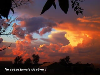 Ne cesse jamais de rêver !
 