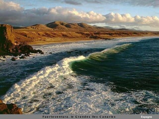 Fuerteventura, le  Grandes  îles Canaries Espagne 