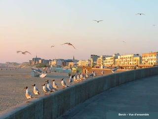 Berck – Vue d’ensemble 