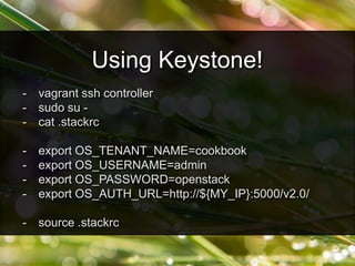 - vagrant ssh controller
- sudo su -
- cat .stackrc
- export OS_TENANT_NAME=cookbook
- export OS_USERNAME=admin
- export OS_PASSWORD=openstack
- export OS_AUTH_URL=http://${MY_IP}:5000/v2.0/
- source .stackrc
Using Keystone!
 