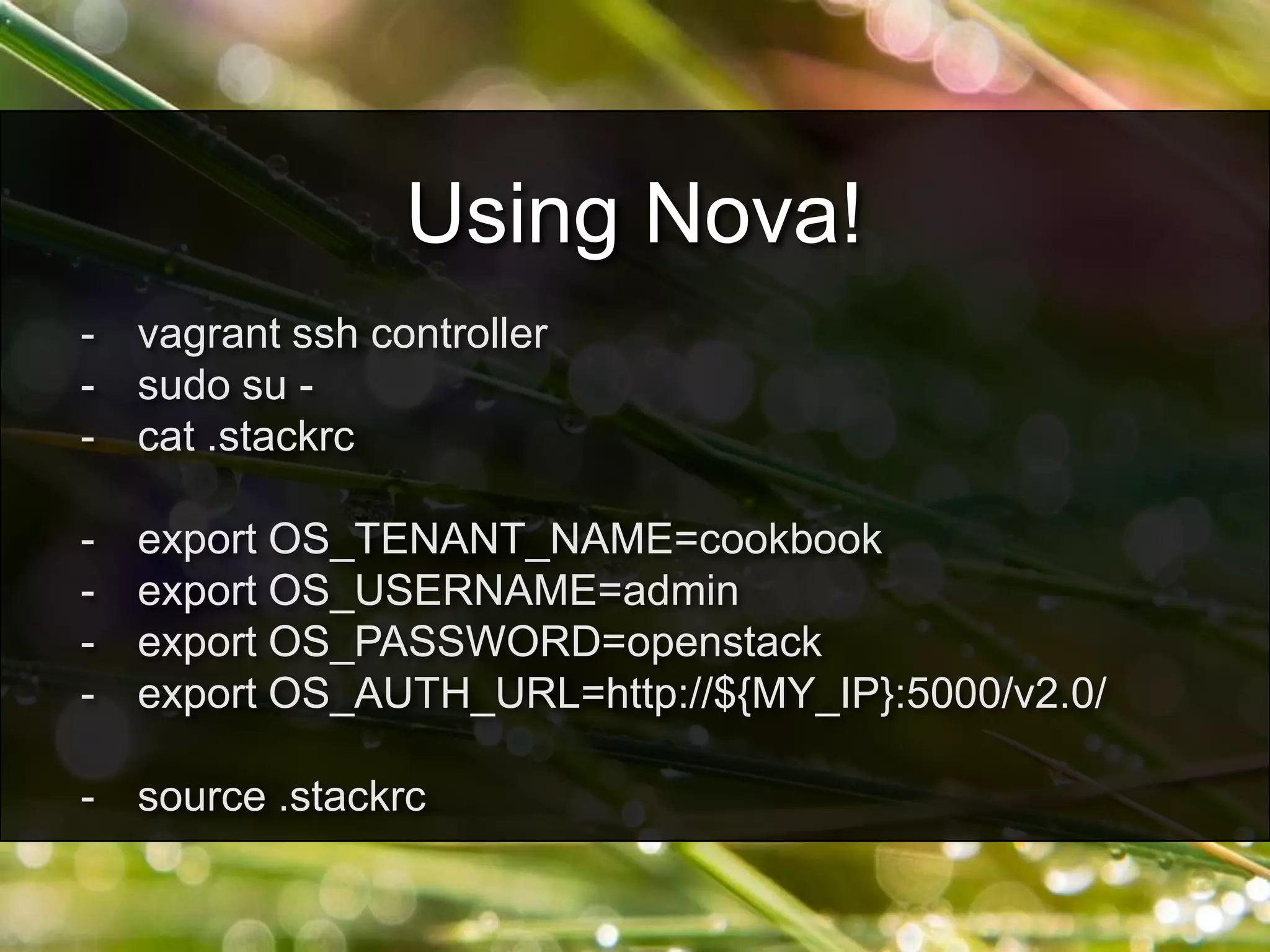 - vagrant ssh controller
- sudo su -
- cat .stackrc
- export OS_TENANT_NAME=cookbook
- export OS_USERNAME=admin
- export OS_PASSWORD=openstack
- export OS_AUTH_URL=http://${MY_IP}:5000/v2.0/
- source .stackrc
Using Nova!
 