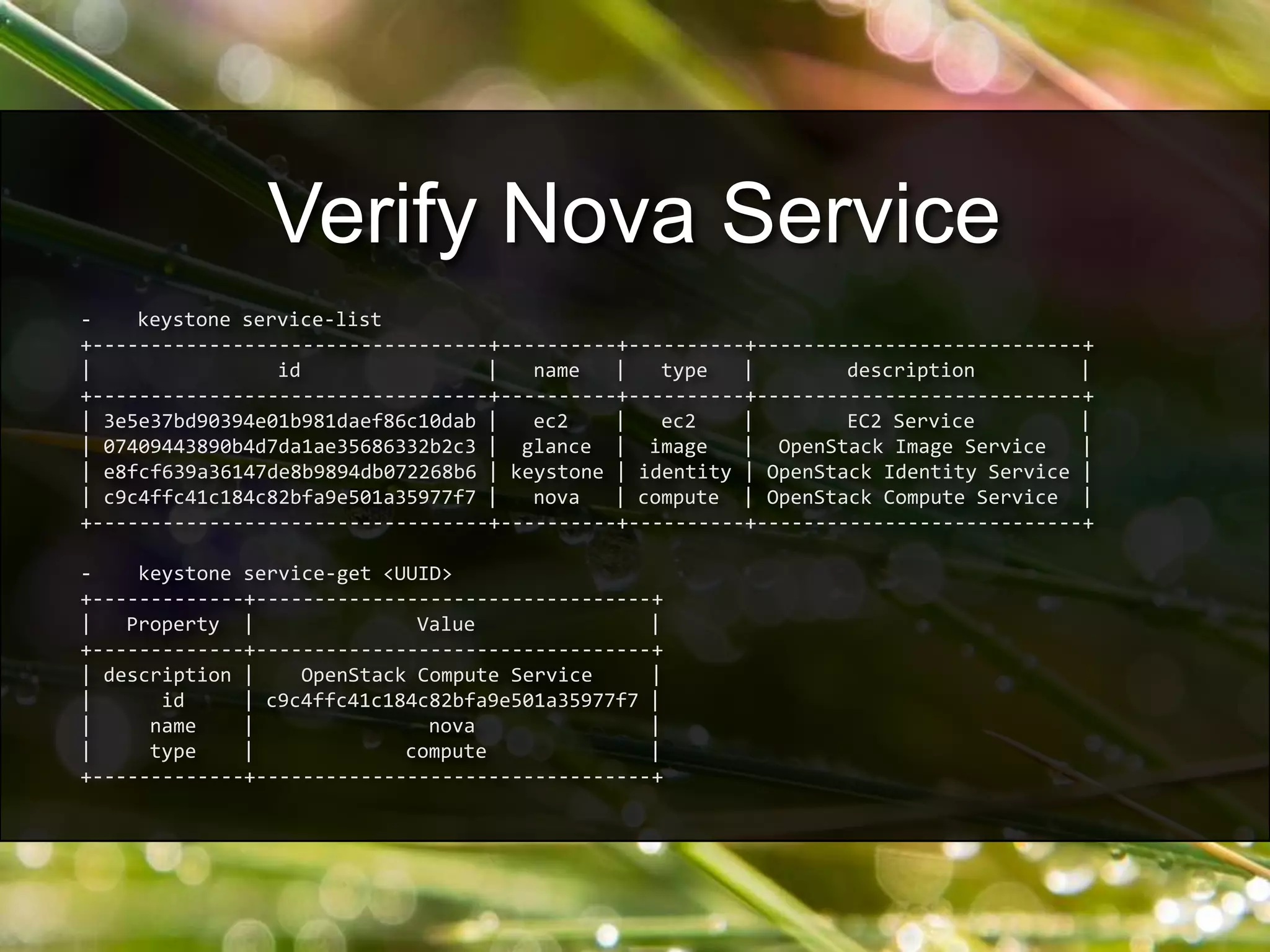 - keystone service-list
+----------------------------------+----------+----------+----------------------------+
| id | name | type | description |
+----------------------------------+----------+----------+----------------------------+
| 3e5e37bd90394e01b981daef86c10dab | ec2 | ec2 | EC2 Service |
| 07409443890b4d7da1ae35686332b2c3 | glance | image | OpenStack Image Service |
| e8fcf639a36147de8b9894db072268b6 | keystone | identity | OpenStack Identity Service |
| c9c4ffc41c184c82bfa9e501a35977f7 | nova | compute | OpenStack Compute Service |
+----------------------------------+----------+----------+----------------------------+
- keystone service-get <UUID>
+-------------+----------------------------------+
| Property | Value |
+-------------+----------------------------------+
| description | OpenStack Compute Service |
| id | c9c4ffc41c184c82bfa9e501a35977f7 |
| name | nova |
| type | compute |
+-------------+----------------------------------+
Verify Nova Service
 