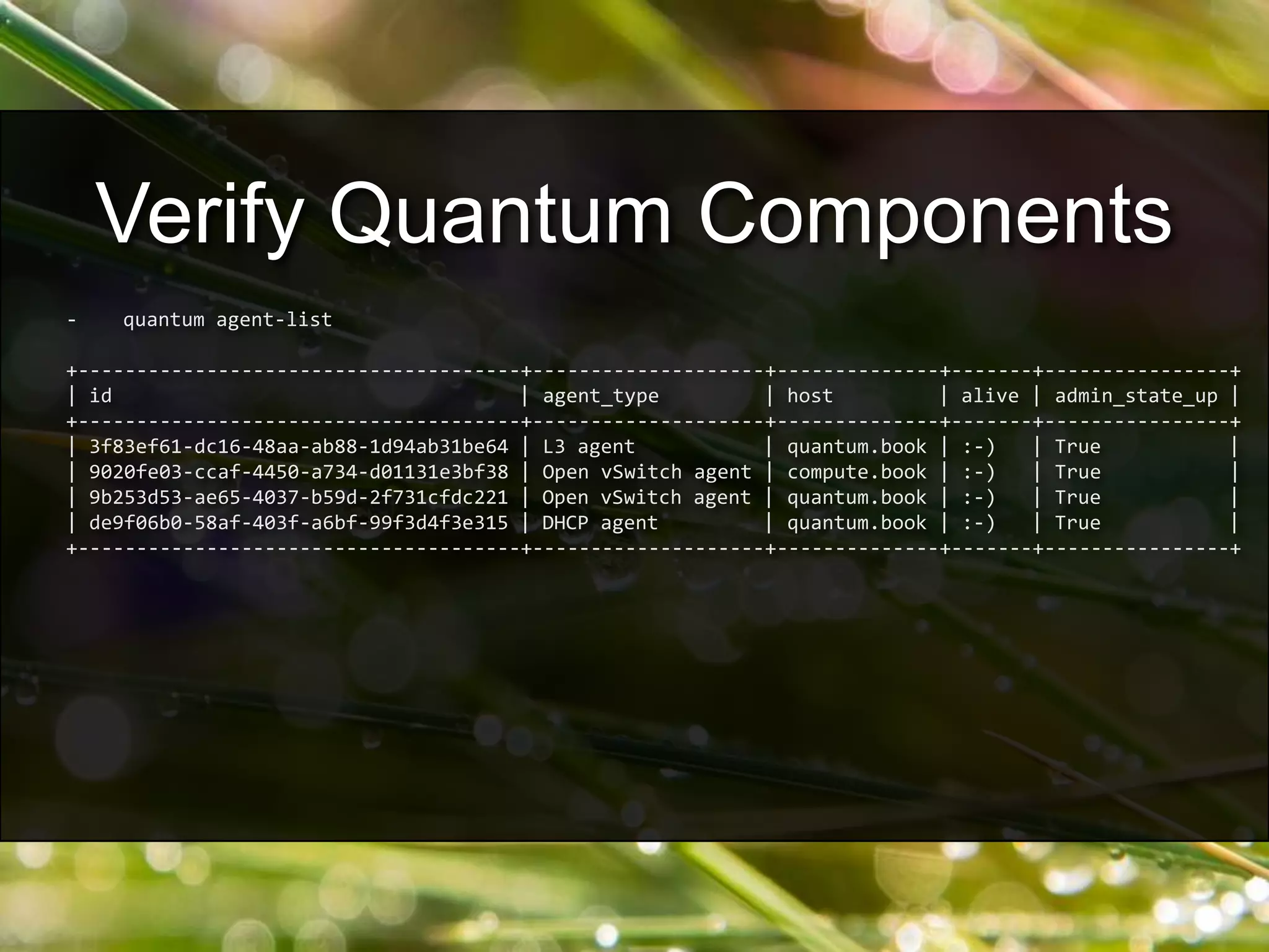 - quantum agent-list
+--------------------------------------+--------------------+--------------+-------+----------------+
| id | agent_type | host | alive | admin_state_up |
+--------------------------------------+--------------------+--------------+-------+----------------+
| 3f83ef61-dc16-48aa-ab88-1d94ab31be64 | L3 agent | quantum.book | :-) | True |
| 9020fe03-ccaf-4450-a734-d01131e3bf38 | Open vSwitch agent | compute.book | :-) | True |
| 9b253d53-ae65-4037-b59d-2f731cfdc221 | Open vSwitch agent | quantum.book | :-) | True |
| de9f06b0-58af-403f-a6bf-99f3d4f3e315 | DHCP agent | quantum.book | :-) | True |
+--------------------------------------+--------------------+--------------+-------+----------------+
Verify Quantum Components
 