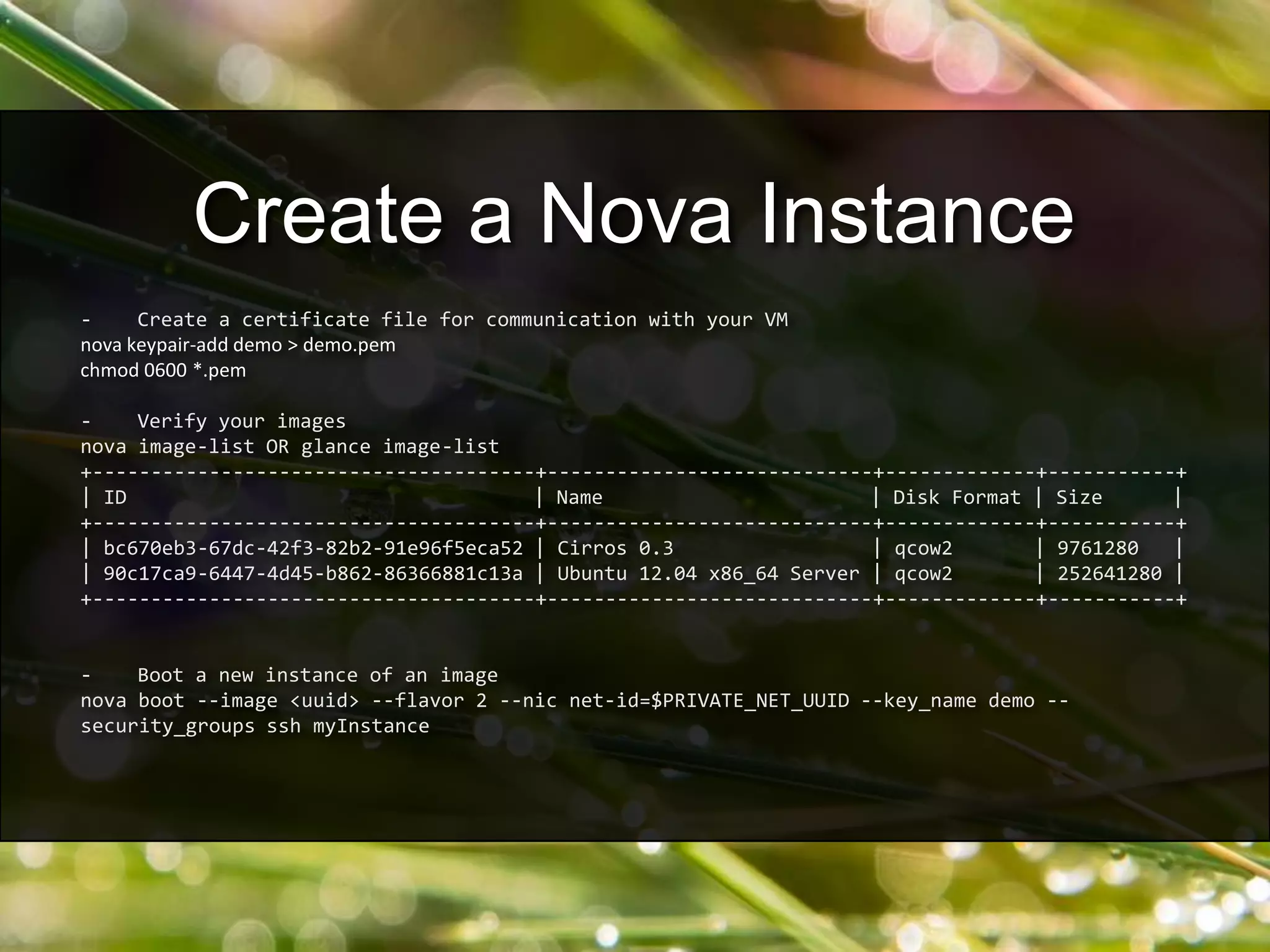 - Create a certificate file for communication with your VM
nova keypair-add demo > demo.pem
chmod 0600 *.pem
- Verify your images
nova image-list OR glance image-list
+--------------------------------------+----------------------------+-------------+-----------+
| ID | Name | Disk Format | Size |
+--------------------------------------+----------------------------+-------------+-----------+
| bc670eb3-67dc-42f3-82b2-91e96f5eca52 | Cirros 0.3 | qcow2 | 9761280 |
| 90c17ca9-6447-4d45-b862-86366881c13a | Ubuntu 12.04 x86_64 Server | qcow2 | 252641280 |
+--------------------------------------+----------------------------+-------------+-----------+
- Boot a new instance of an image
nova boot --image <uuid> --flavor 2 --nic net-id=$PRIVATE_NET_UUID --key_name demo --
security_groups ssh myInstance
Create a Nova Instance
 