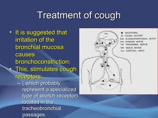 Treatment of cough
• It is suggested that
  irritation of the
  bronchial mucosa
  causes
  bronchoconstriction:
• This, stimulates cough
  receptors.
  – ( which probably
    represent a specialized
    type of stretch receptor)
    located in the
    tracheobronchial
    passages.
 
