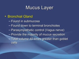 Mucus Layer
• Bronchial Gland
  – Found in submucosa
  – Found down to terminal bronchioles
  – Parasympathetic control (Vagus nerve)
  – Provide the majority of mucus secretion
  – Total volume 40 times greater than goblet
    cells
 