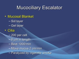 Mucociliary Escalator
• Mucosal Blanket
  – Sol layer
  – Gel layer
• Cilia
  – 200 per cell
  – 6 µm in length
  – Beat 1000/min
  – Move mucus 2 cm/min
  – Paralyzed by cigarette smoke
 