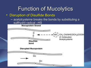 Function of Mucolytics
• Disruption of Disulfide Bonds
  – acetylcysteine breaks the bonds by substituting a
    sulfhydril radical –HS
 