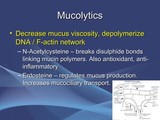 Mucolytics
• Decrease mucus viscosity, depolymerize
  DNA / F-actin network
  – N-Acetylcysteine – breaks disulphide bonds
    linking mucin polymers. Also antioxidant, anti-
    inflammatory
  – Erdosteine – regulates mucus production.
    Increases mucociliary transport.
 