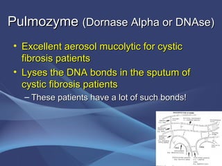 Pulmozyme (Dornase Alpha or DNAse)
• Excellent aerosol mucolytic for cystic
  fibrosis patients
• Lyses the DNA bonds in the sputum of
  cystic fibrosis patients
  – These patients have a lot of such bonds!
 