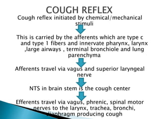 Cough reflex initiated by chemical/mechanical
stimuli
This is carried by the afferents which are type c
and type 1 fibers and innervate pharynx, larynx
,large airways , terminal bronchiole and lung
parenchyma
Afferents travel via vagus and superior laryngeal
nerve
NTS in brain stem is the cough center
Efferents travel via vagus, phrenic, spinal motor
nerves to the larynx, trachea, bronchi,
diaphragm producing cough
 