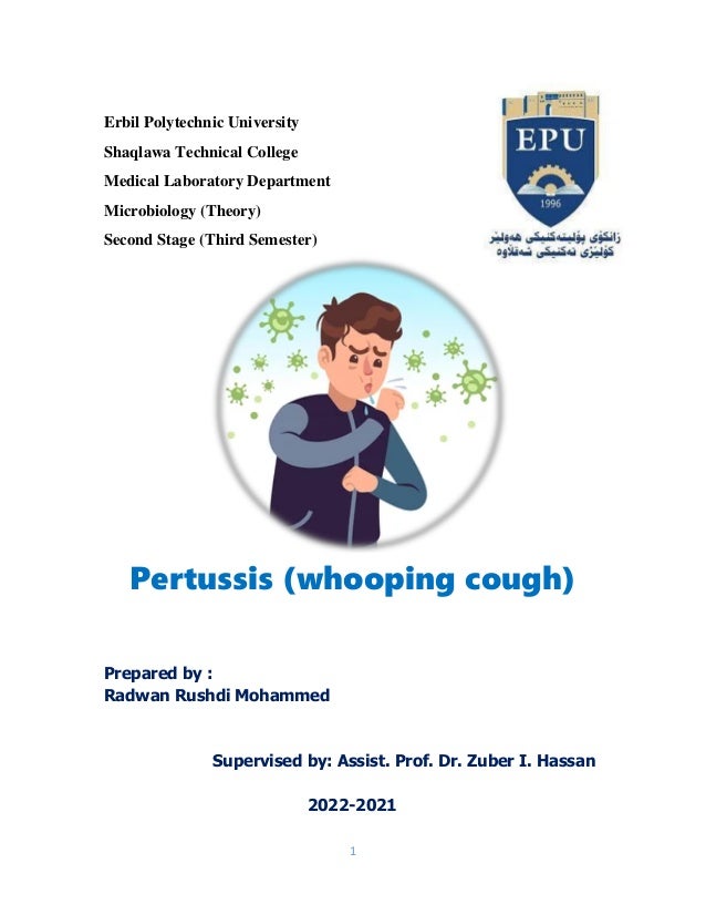 1
Erbil Polytechnic University
Shaqlawa Technical College
Medical Laboratory Department
Microbiology (Theory)
Second Stage (Third Semester)
Pertussis (whooping cough)
Prepared by :
Radwan Rushdi Mohammed
Supervised by: Assist. Prof. Dr. Zuber I. Hassan
2022-2021
 