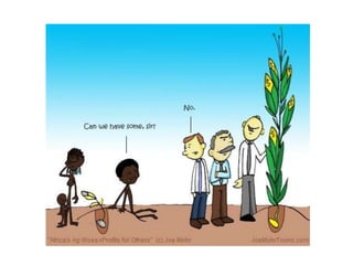 Could ciat  be(come)  the latin-american convening centre on the knowledge based bio-economy?