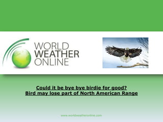 www.worldweatheronline.com
Could it be bye bye birdie for good?
Bird may lose part of North American Range
 