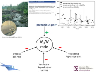 Genetic Assessment Sampling Challenges
Sampling requirements for specific
of river stock conditioned by e.g.
• population ...