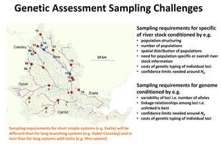 Optimisation
of
genotyping
and data
processing
UHI-SME
Collaboration
Fisheries
Management
Delivery of stock
assessment
fra...