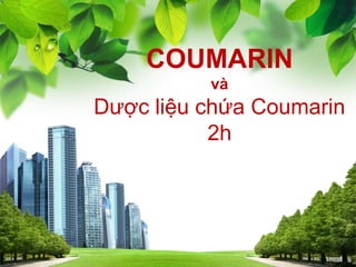 COUMARIN
và
Dược liệu chứa Coumarin
2h
1
 