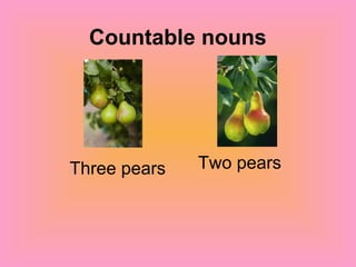 Countable nouns
Three pears Two pears
 
