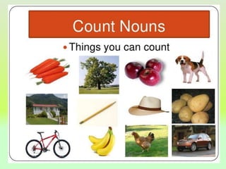 COUNTABLE AND UNCOUNTABLE NOUNS 