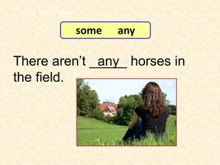 There aren’t _____ horses in
the field.
any
7-8 Let’s Practice
some any
 