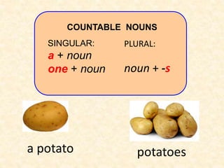 SINGULAR:
a + noun
one + noun
PLURAL:
noun + -s
COUNTABLE NOUNS
potatoes
a potato
 